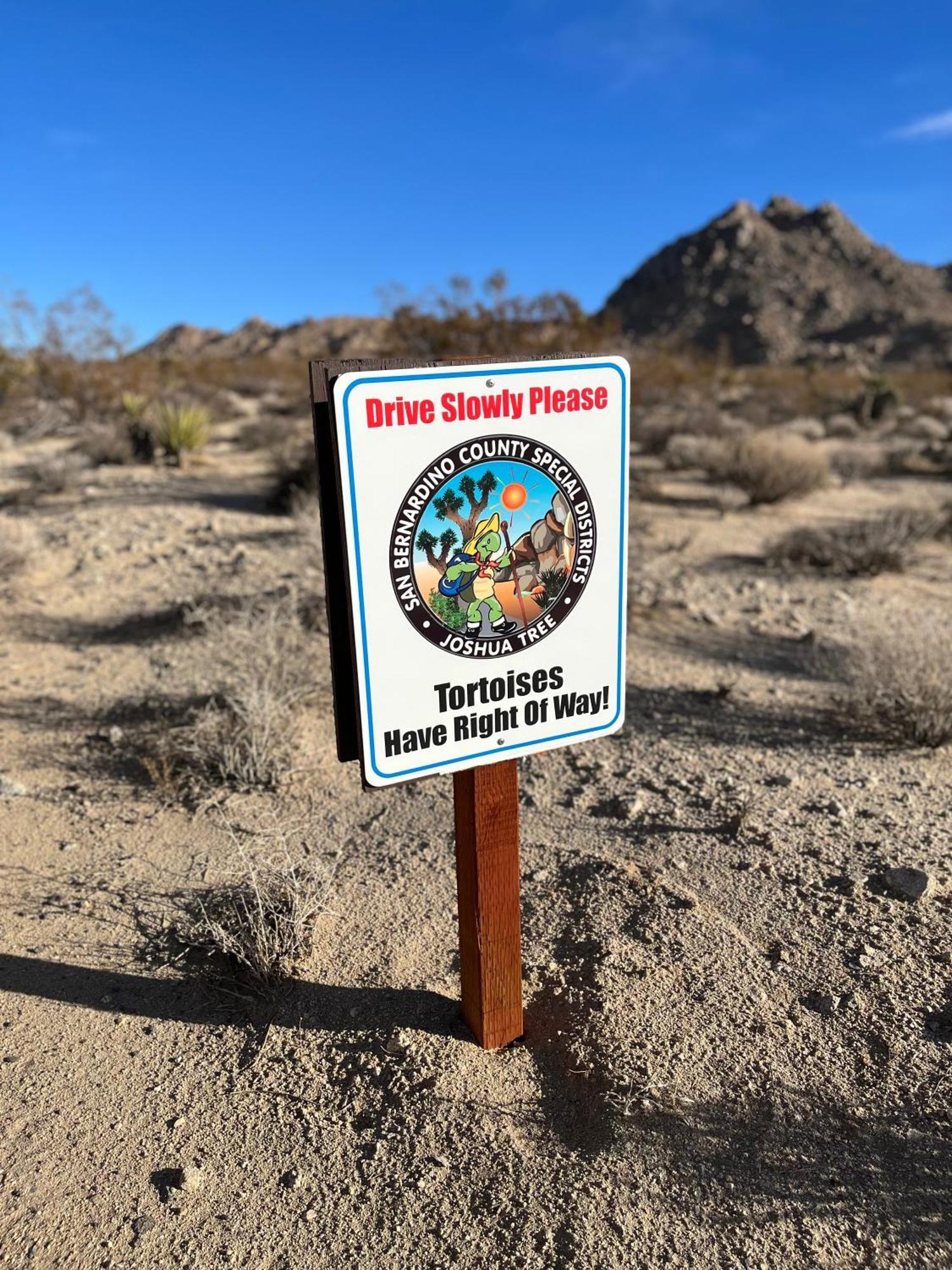 The Joshua Tree House Villa Kültér fotó