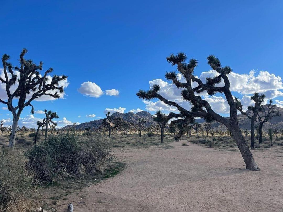 The Joshua Tree House Villa Kültér fotó